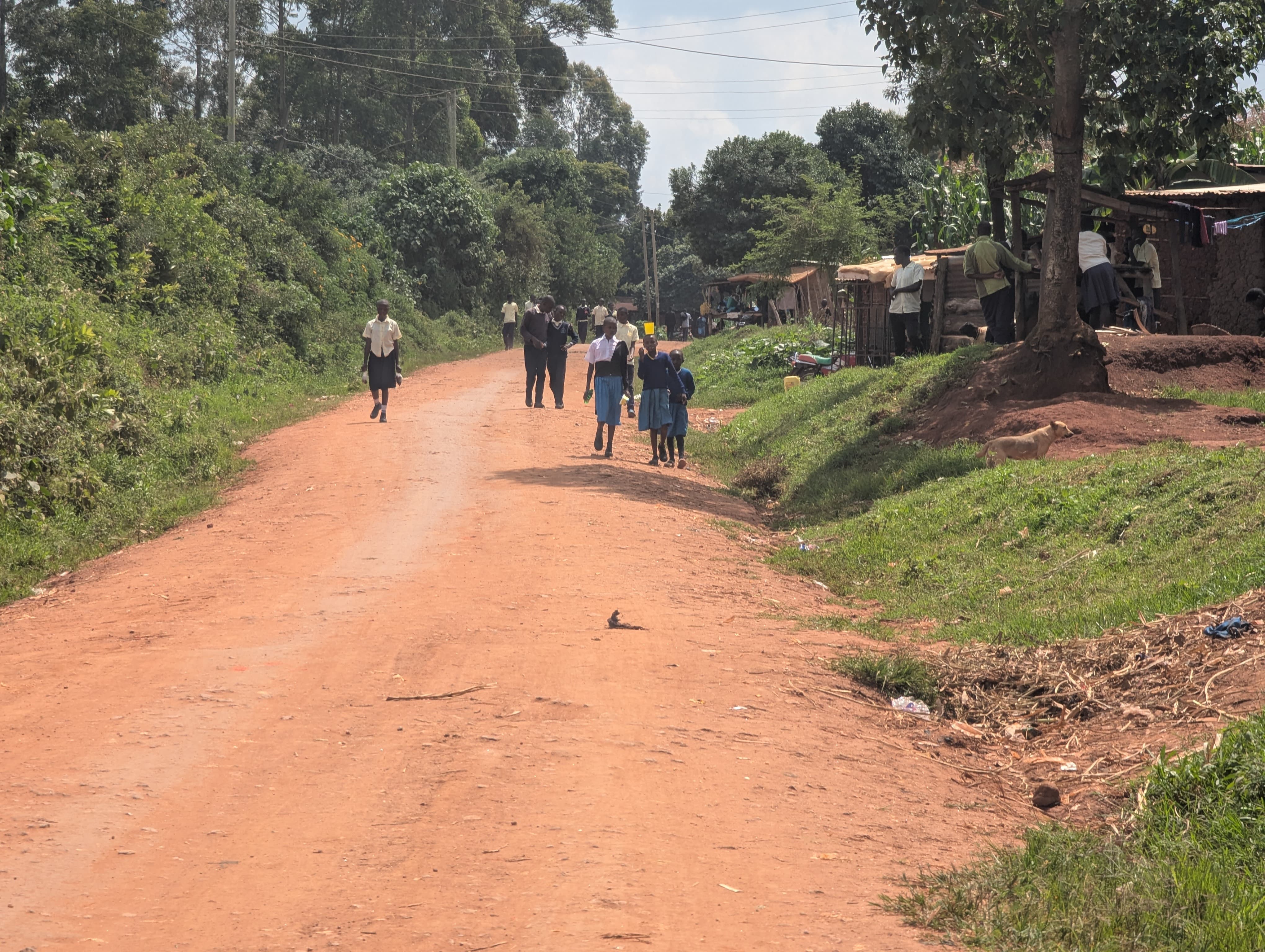 Rural classroom infrastructure challenges